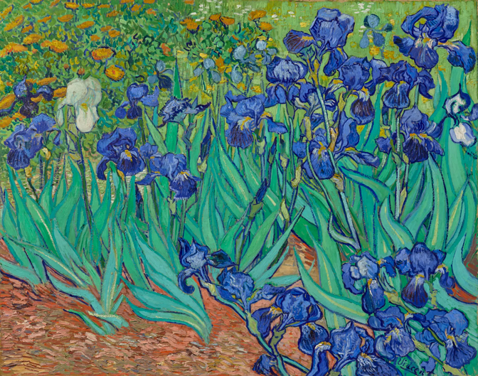 IRISES: ANNIVERSARY OF VAN GOGH’S FINEST GARDEN PICTURE, PAINTED ON HIS FIRST MORNING IN THE ASYLUM