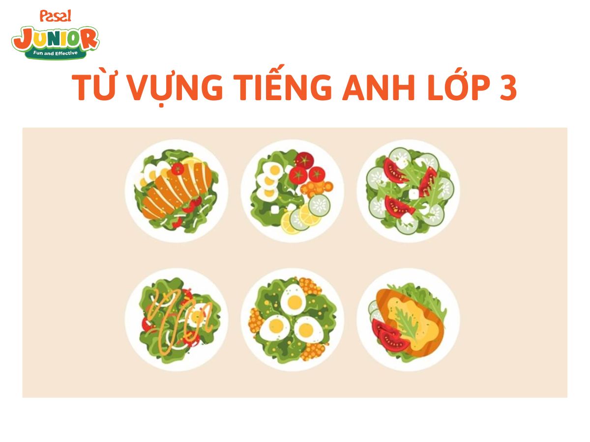 Từ vựng tiếng Anh dành cho trẻ em tiểu học lớp 3