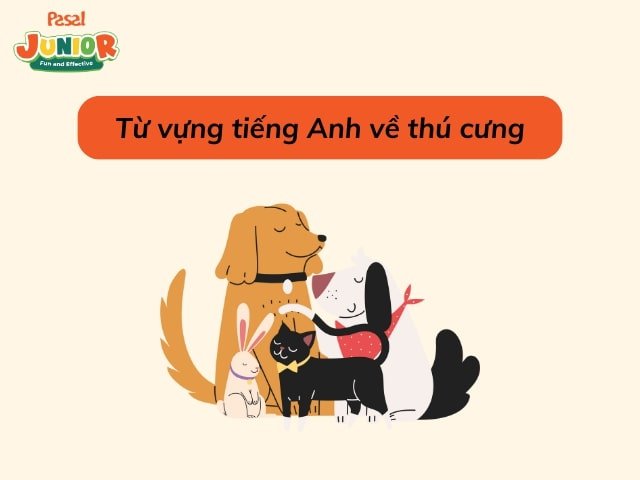 Từ vựng tiếng Anh về thú cưng