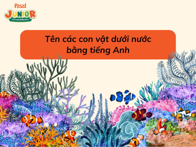 Động vật dưới nước trong tiếng Anh