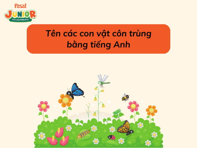 Tên các con vật côn trùng bằng tiếng Anh