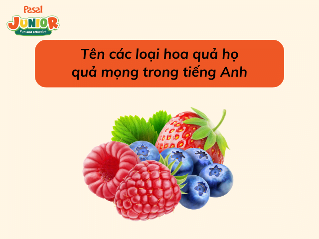 Từ vựng các loại hoa quả họ quả mọng 