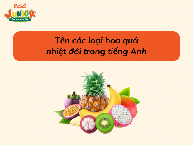 Tên các loại hoa quả nhiệt đới trong tiếng Anh