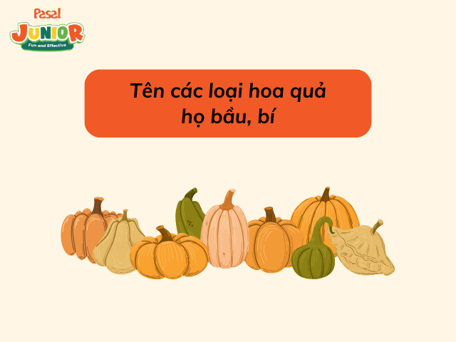 Tên các loại hoa quả họ bầu, bí